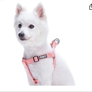 NWOT Blueberry Pet Essentials Step-in Classic Dog Harness